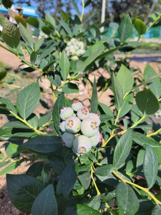 행복한윤이님의 기타작물 · 자유게시판 작성글 사진