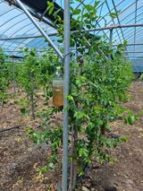 팜모닝 기타작물·자유게시판 게시글 이미지