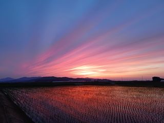 서재복님의 농부님! 어떤 농약 쓰세요? · 참여 작성글 사진