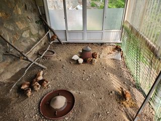 우양수님의 장터이야기 · 자유게시판 작성글 사진