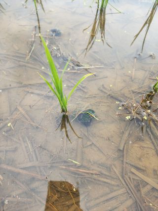 농부 임성훈님의 작성글 사진