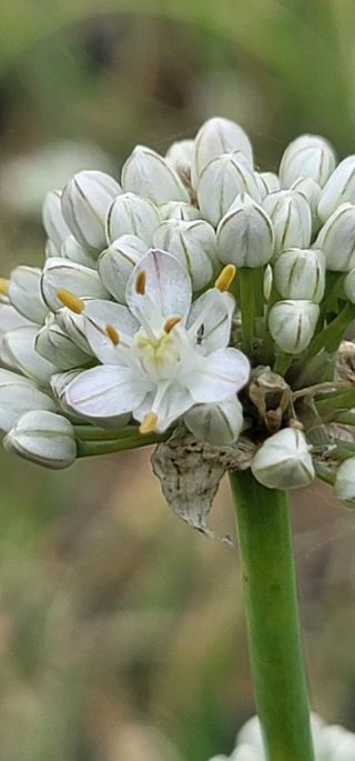 신승철님의 기타작물 · 자유게시판 작성글 사진