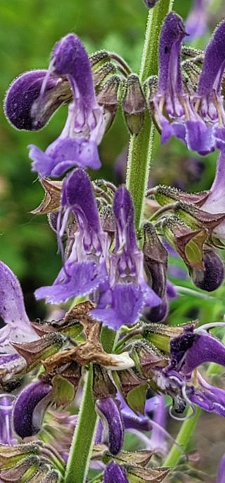 신승철님의 기타작물 · 자유게시판 작성글 사진