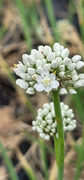 신승철님의 기타작물 · 자유게시판 작성글 사진