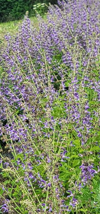 신승철님의 기타작물 · 자유게시판 작성글 사진