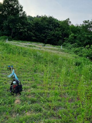 김갑태님의 토마토 · 제초 작성글 사진