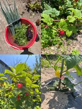 팜모닝 자유주제·자유게시판 게시글 이미지