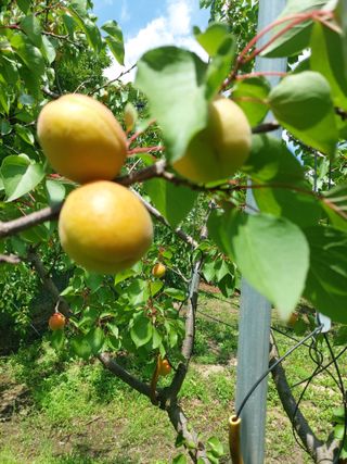 ahnda님의 자유주제 · 자유게시판 작성글 사진