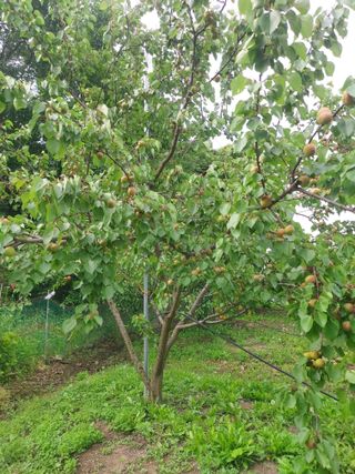 ahnda님의 자유주제 · 자유게시판 작성글 사진