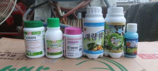 김대업님의 농부님! 어떤 농약 쓰세요? · 참여 작성글 사진