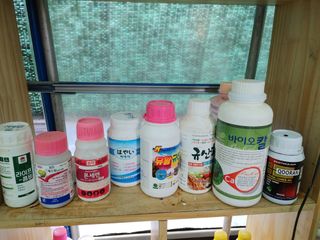 부농이네(이나영)님의 자유주제 · 자유게시판 작성글 사진