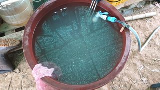 이봉수님의 고추 · 일상 작성글 사진