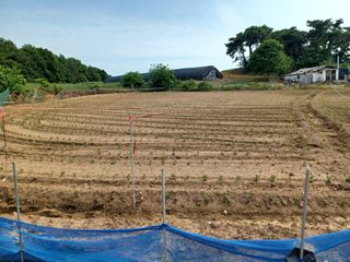 박영수부안님의 콩 · 자유게시판 작성글 사진