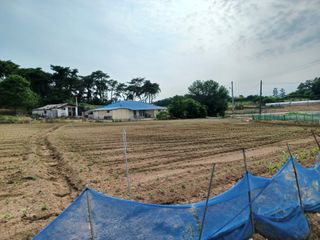 박영수부안님의 콩 · 자유게시판 작성글 사진