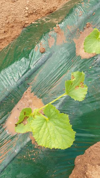 김준회님의 자유주제 · 자유게시판 작성글 사진