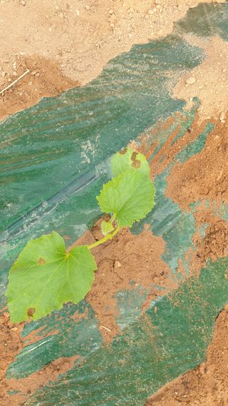 김준회님의 자유주제 · 자유게시판 작성글 사진