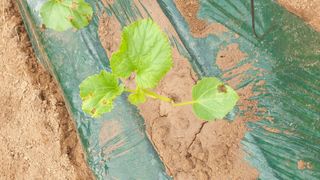 김준회님의 자유주제 · 자유게시판 작성글 사진