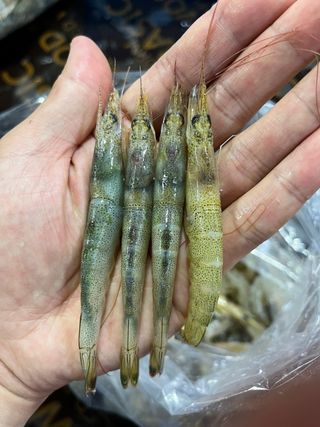 목포 물좋은수산님의 작성글 사진