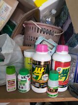 팜모닝 농부님! 어떤 농약 쓰세요?·참여 게시글 이미지