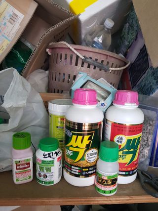 옥이네님의 농부님! 어떤 농약 쓰세요? · 참여 작성글 사진