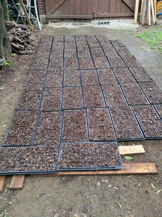 정선경님의 콩 · 자유게시판 작성글 사진