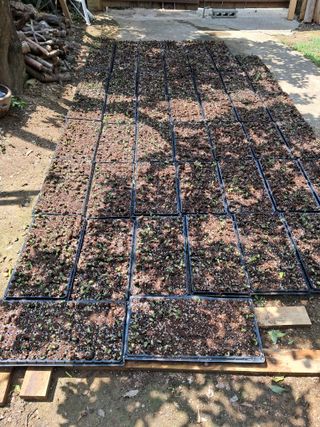 정선경님의 콩 · 자유게시판 작성글 사진