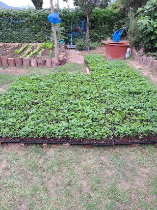 정선경님의 콩 · 자유게시판 작성글 사진