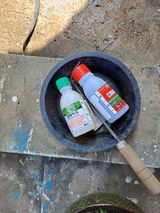 팜모닝 농부님! 어떤 농약 쓰세요?·참여 게시글 이미지