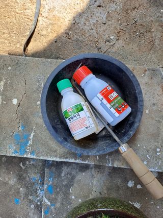 푸른오이님의 농부님! 어떤 농약 쓰세요? · 참여 작성글 사진