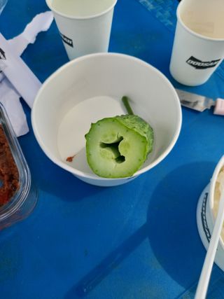 김규현님의 오이 · 자유게시판 작성글 사진