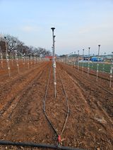 팜모닝 자유주제·자유게시판 게시글 이미지