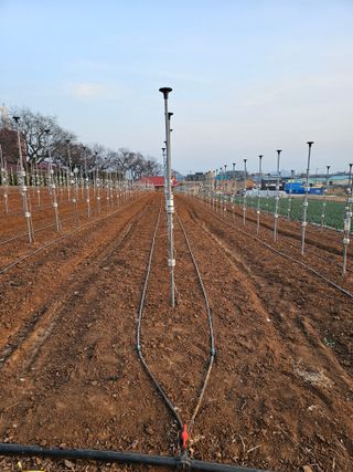 망운천지향토농원님의 자유주제 · 자유게시판 작성글 사진