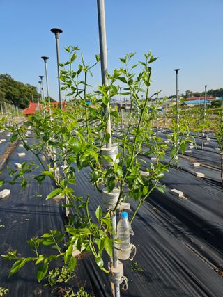 망운천지향토농원님의 자유주제 · 자유게시판 작성글 사진