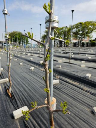 망운천지향토농원님의 자유주제 · 자유게시판 작성글 사진