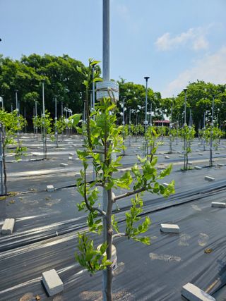 망운천지향토농원님의 자유주제 · 자유게시판 작성글 사진