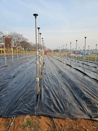 망운천지향토농원님의 자유주제 · 자유게시판 작성글 사진