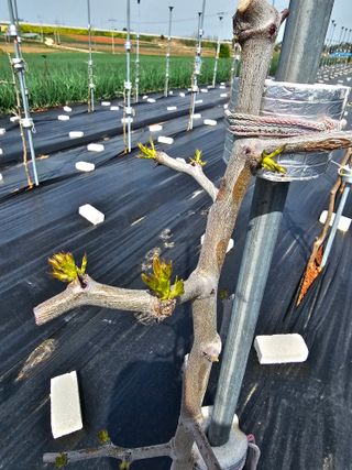 망운천지향토농원님의 자유주제 · 자유게시판 작성글 사진