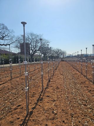 망운천지향토농원님의 자유주제 · 자유게시판 작성글 사진