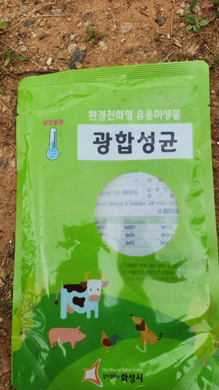 제부도그린농원님의 사과 · 일상 작성글 사진