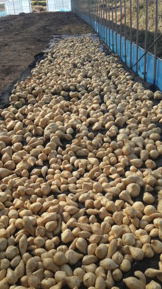 유석범님의 작성글 사진