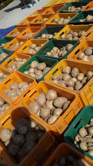 유석범님의 작성글 사진