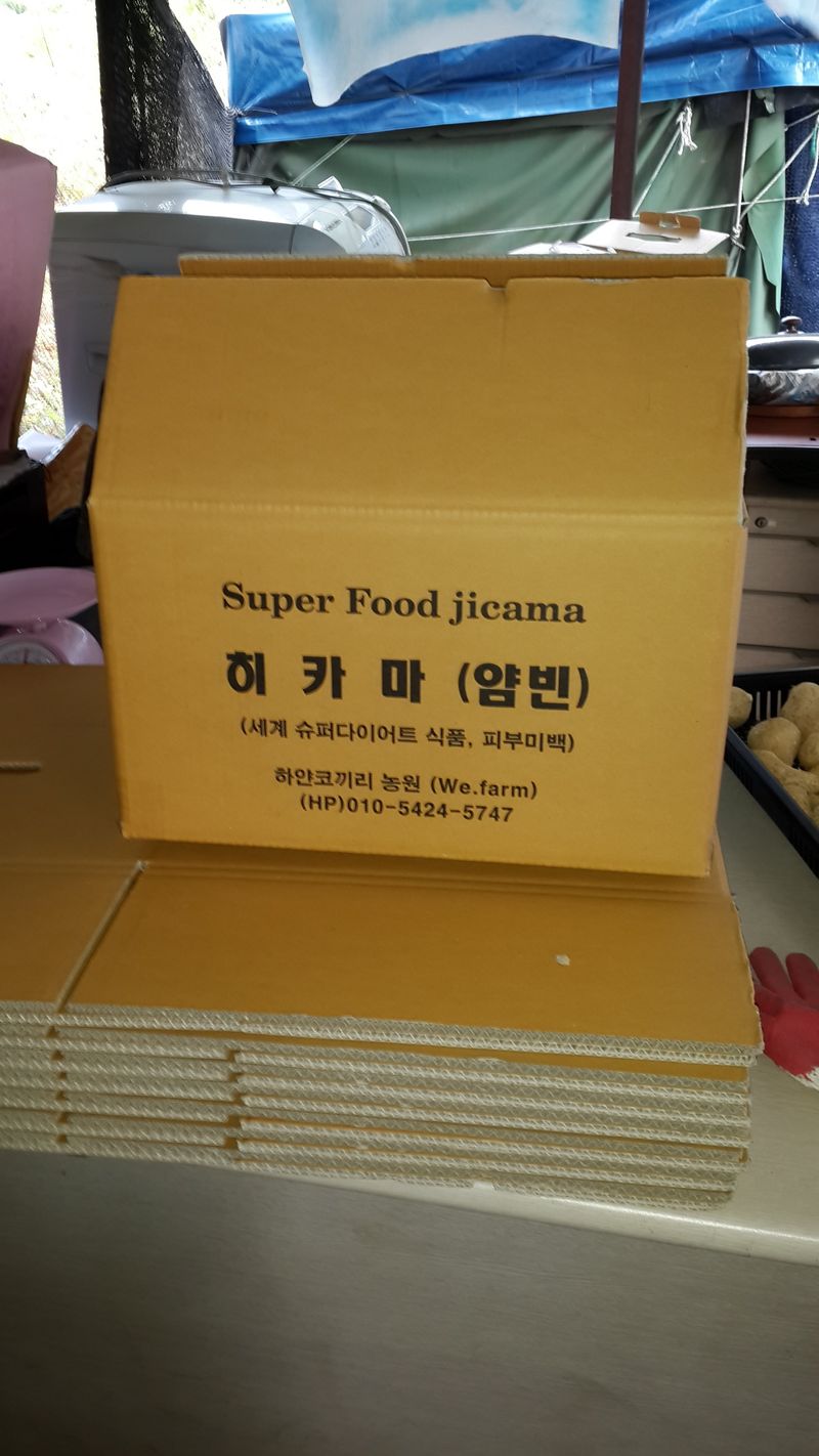 유석범님의 장터 판매 상품 [히카마(얌빈)8kg. 1box.] 첨부 사진