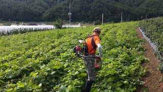 유석범님의 작성글 사진
