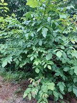 팜모닝 자유주제·자유게시판 게시글 이미지