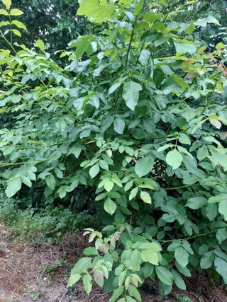 신경숙님의 자유주제 · 자유게시판 작성글 사진