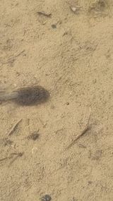 팜모닝 벼·자유게시판 게시글 이미지