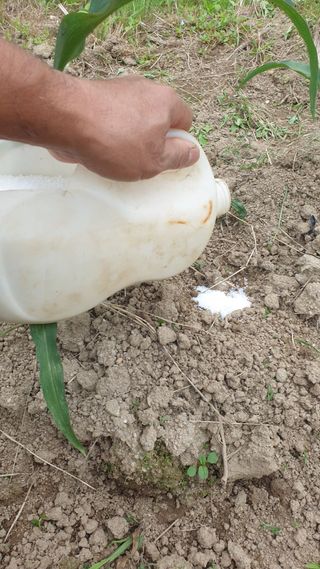 박상권님의 자유주제 · 자유게시판 작성글 사진