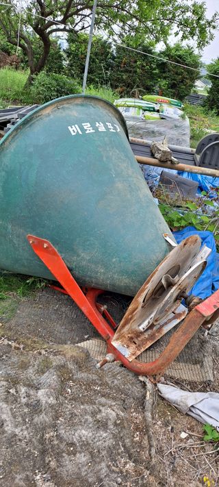 맥국왕자.정형구님의 작성글 사진