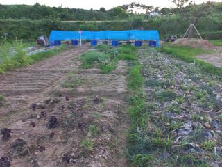 고랑이랑 임수연님의 자유주제 · 자유게시판 작성글 사진