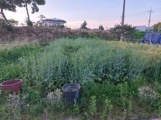 고랑이랑 임수연님의 자유주제 · 자유게시판 작성글 사진